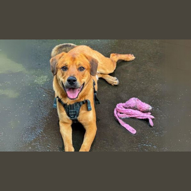 Photo of Clifford