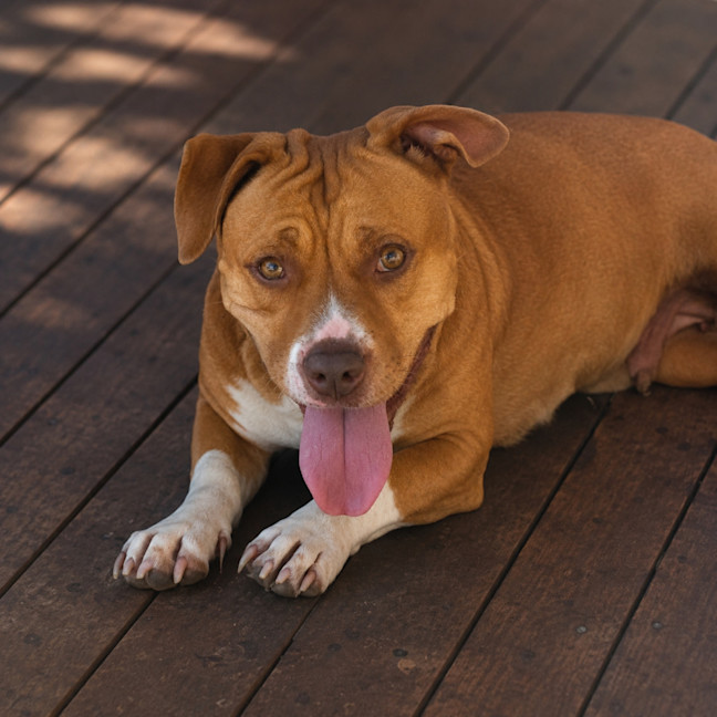 Photo of Sally