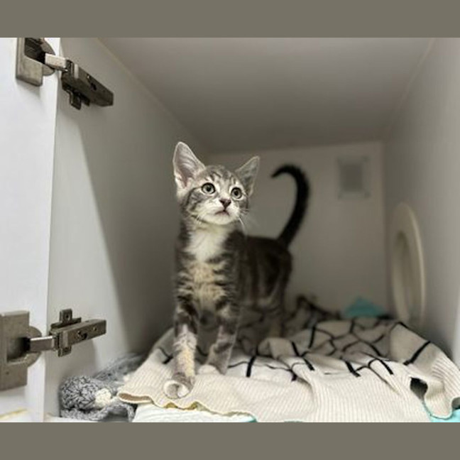 Photo of Lily