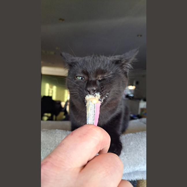 Photo of Pepper