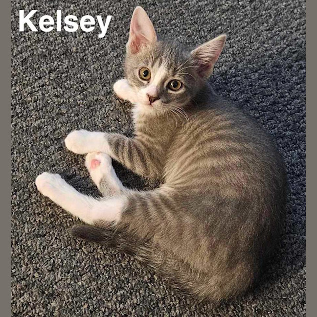 Photo of Kelsey