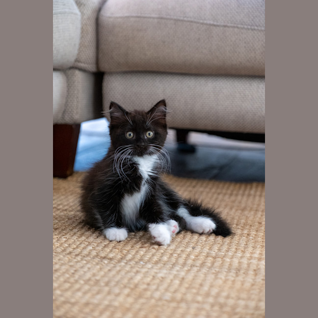 Photo of Ralph