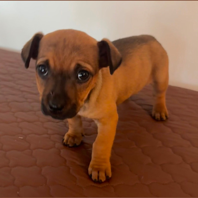 Photo of Crystal & Echo