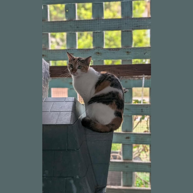 Photo of Kaili