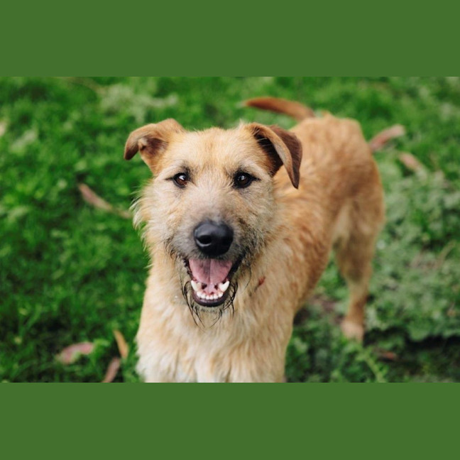 Photo of Rocky Gainsborough