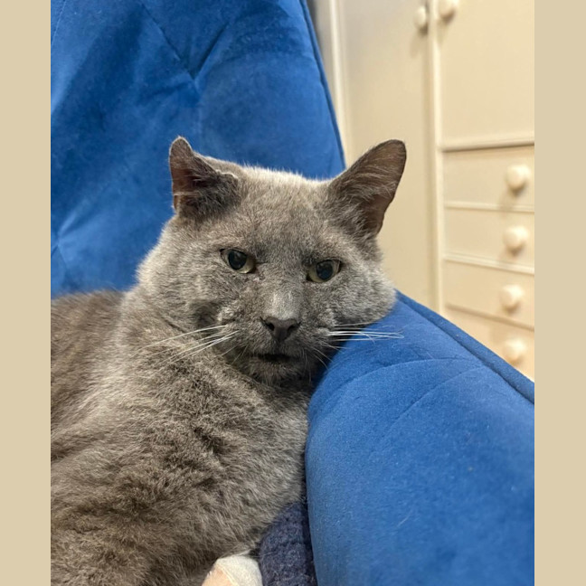 Photo of Max 