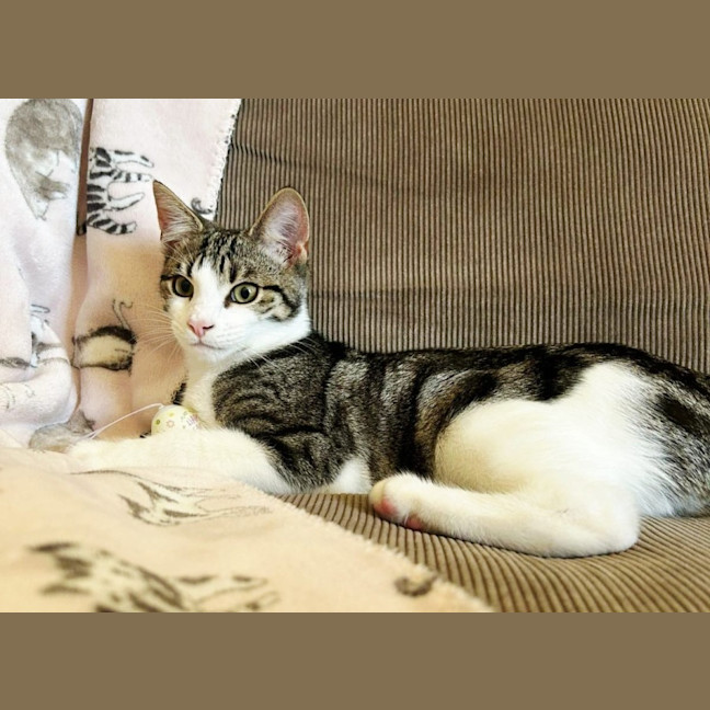 Photo of Tink