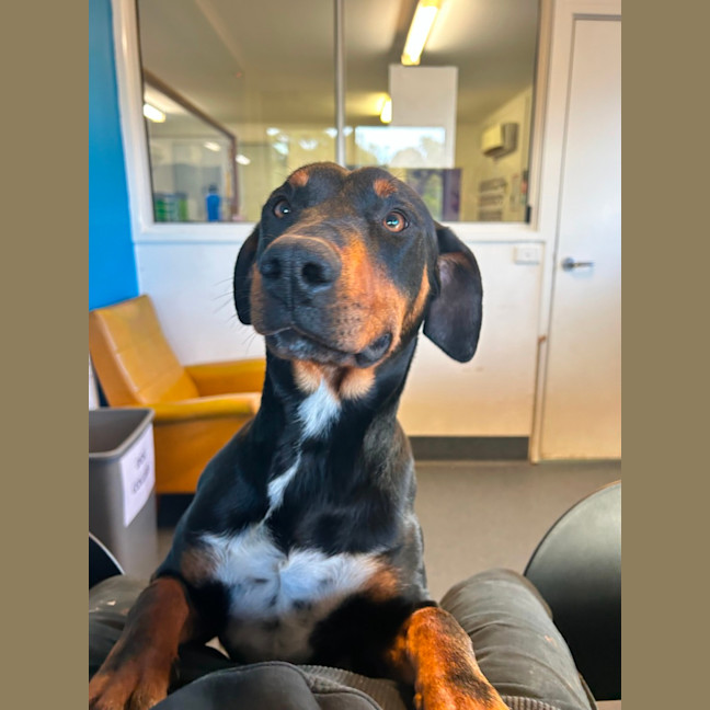 Photo of Smiley Pete