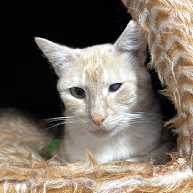 Photo of Pluto Sta012999