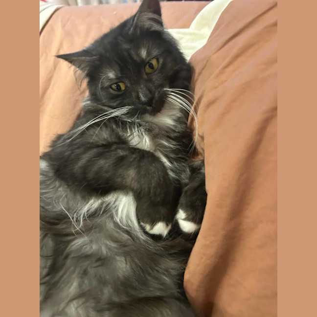 Photo of Mitzi