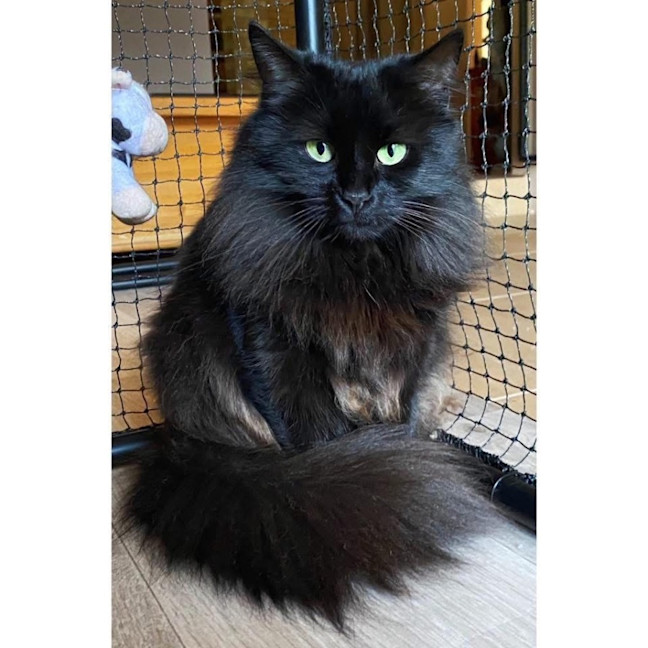 Photo of 12258   Aloha