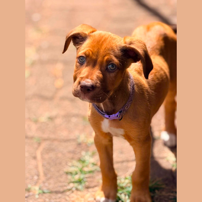 Photo of Maizie