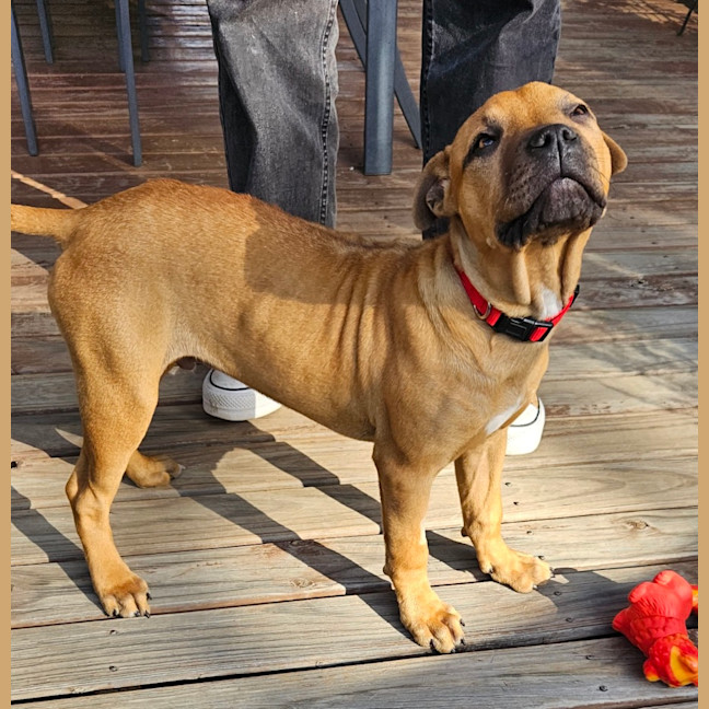 Photo of Grayson