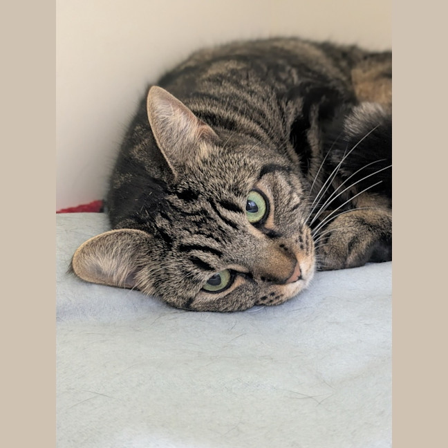 Photo of 🍧 Maisie 6301 🍧