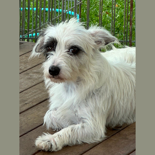 Photo of Jazz