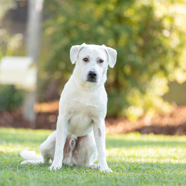 Photo of Casper