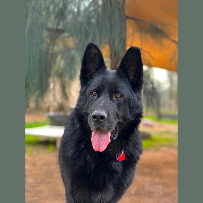 Photo of Zara