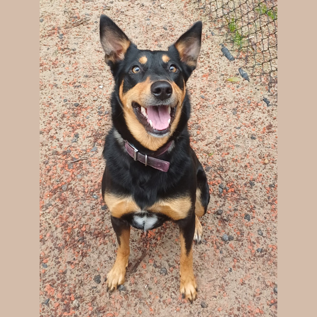 Photo of Bella
