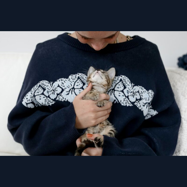 Photo of Nutmeg