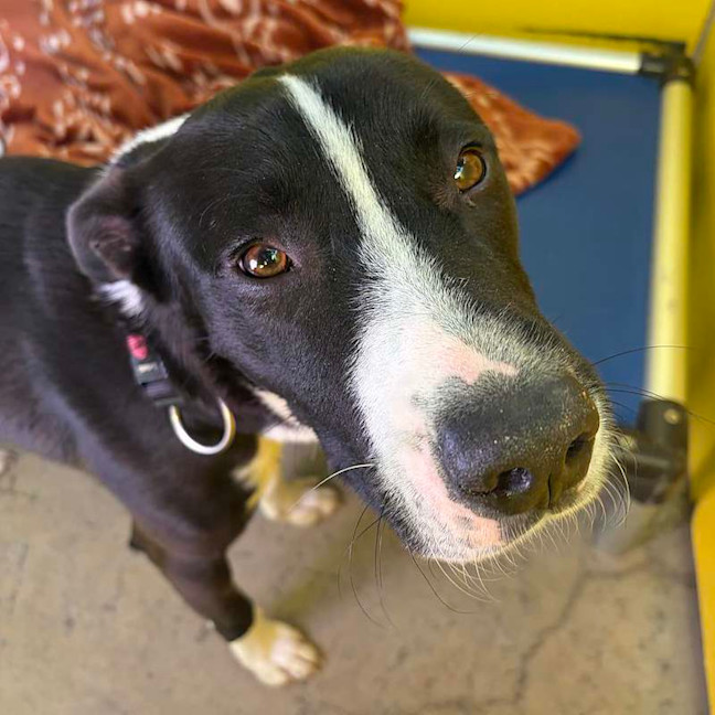 Photo of Bingo