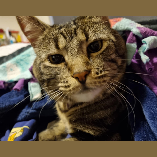 Photo of Sid