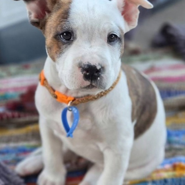 Photo of Storm