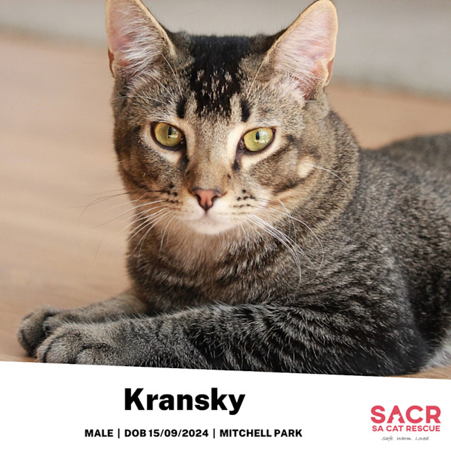 Photo of Kransky