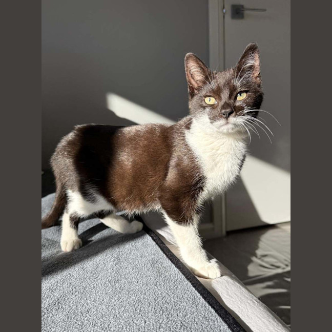 Photo of Miss G