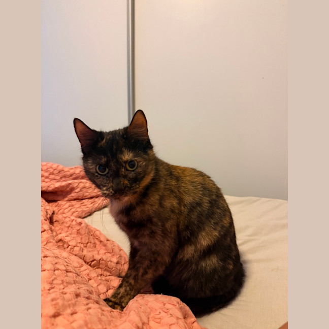 Photo of Tilly