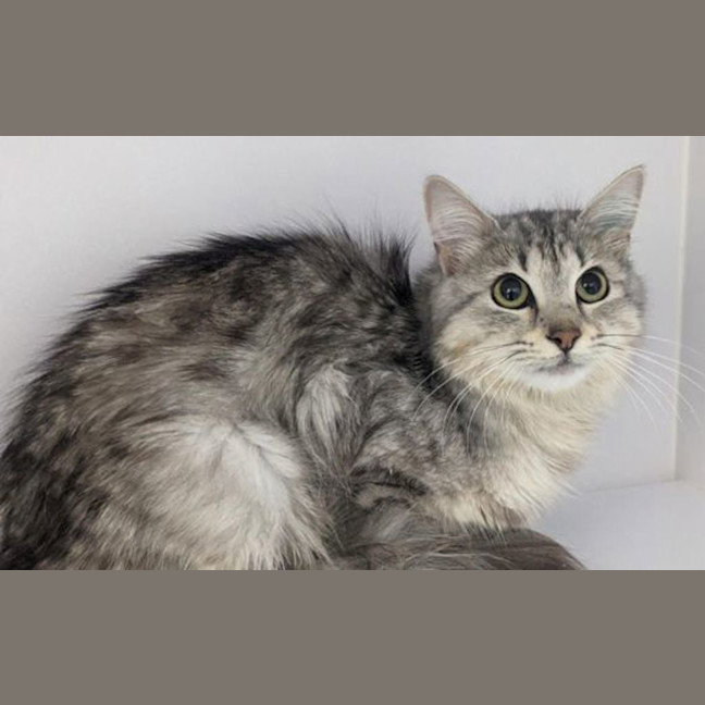 Photo of Evie