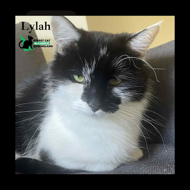 Photo of Lylah