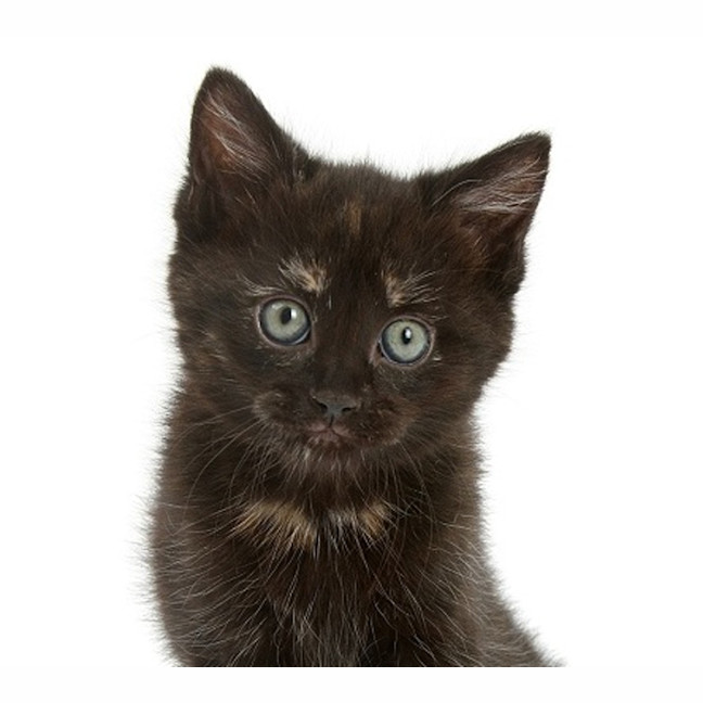 Photo of Holly