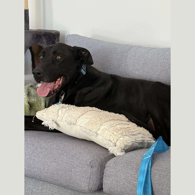 Photo of Duke