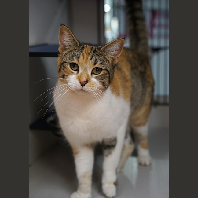 Photo of Harley