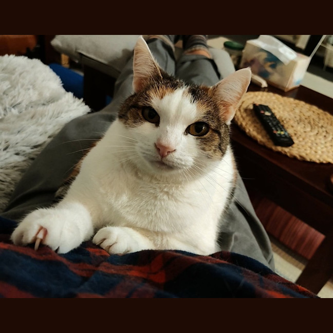 Photo of Skeeta 