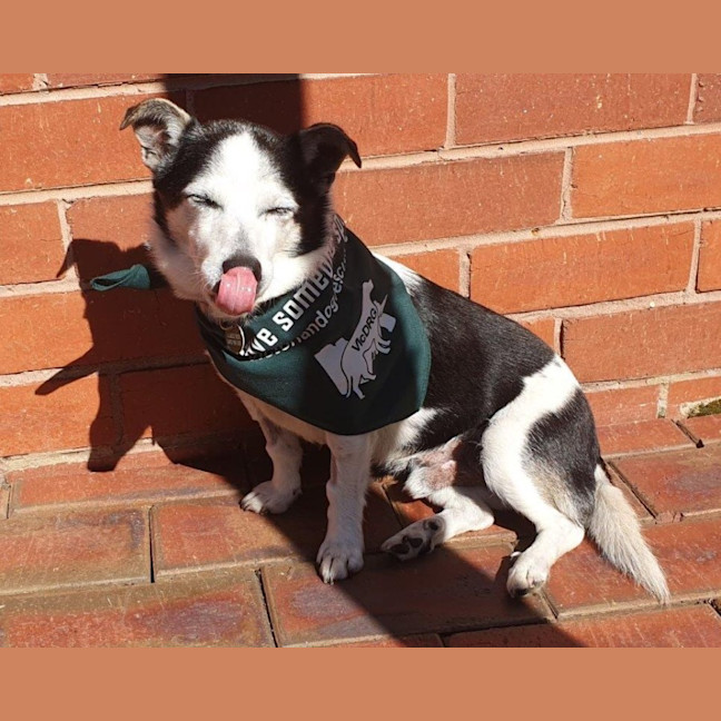 Photo of Laurie Jablonski