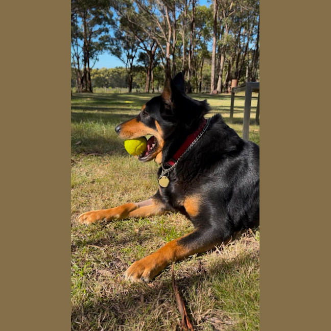 Photo of Keltien