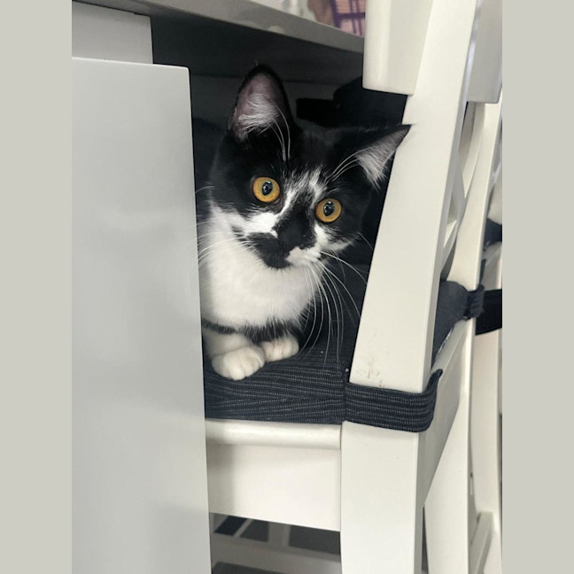 Photo of Bella 