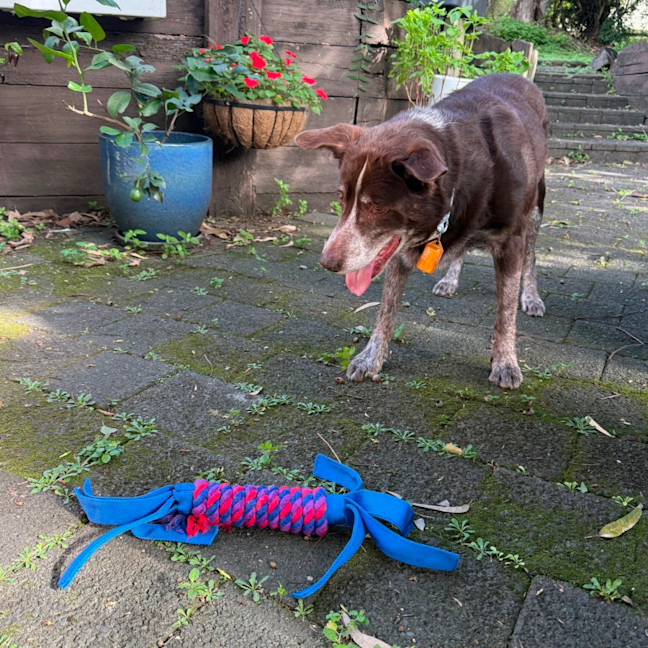 Photo of Hugo 