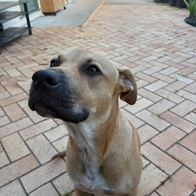 Photo of Theo