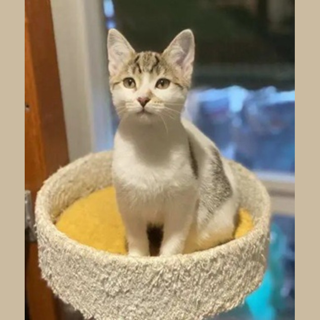Photo of Edwina