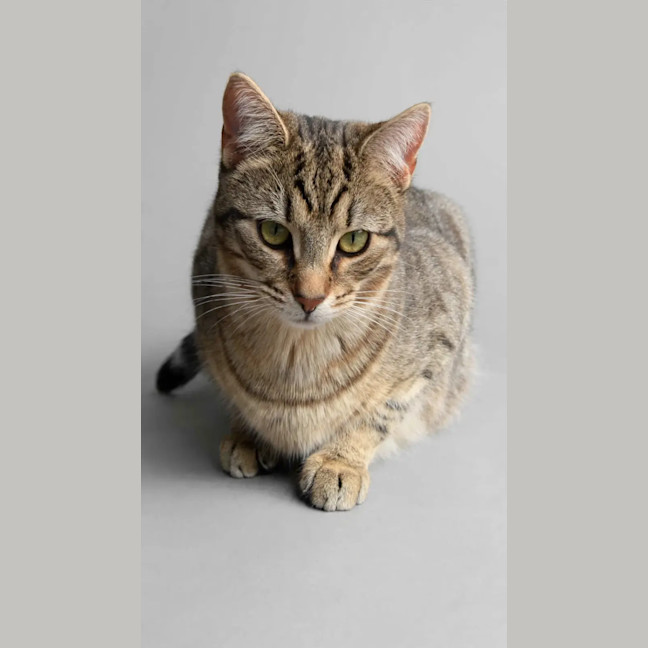 Photo of Mila
