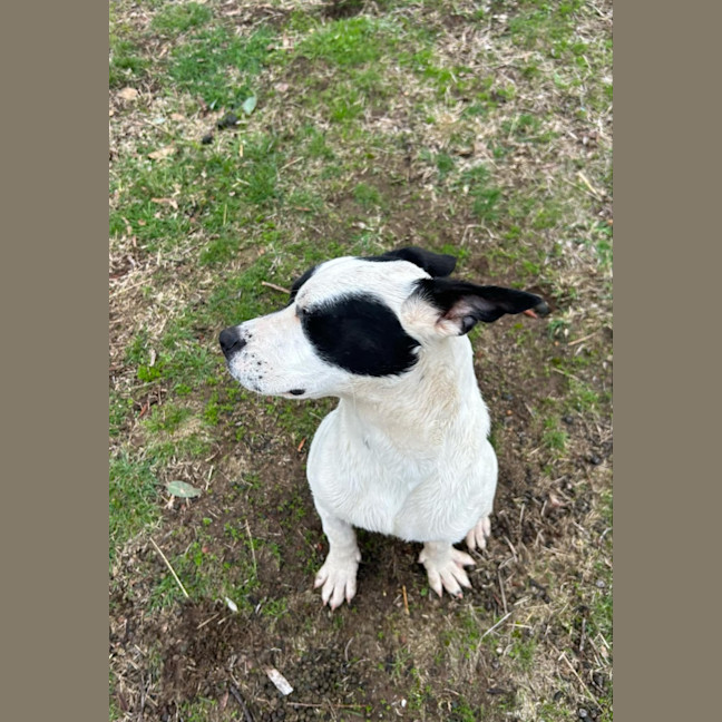 Photo of Ramona