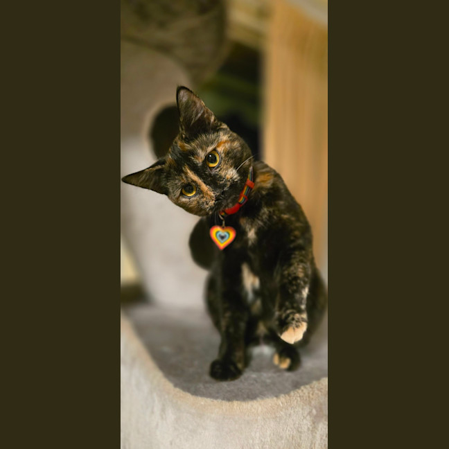 Photo of Hazel
