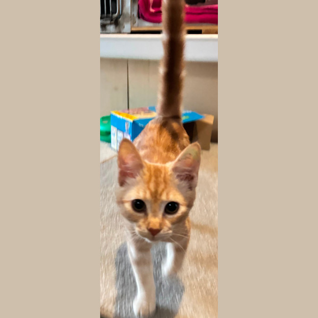 Photo of Blanche