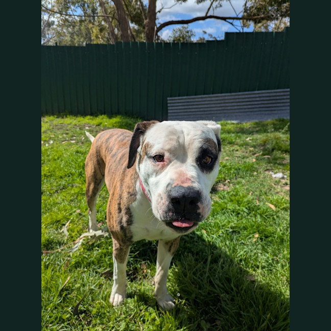 Photo of Jada
