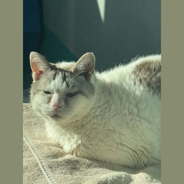 Photo of Elsa