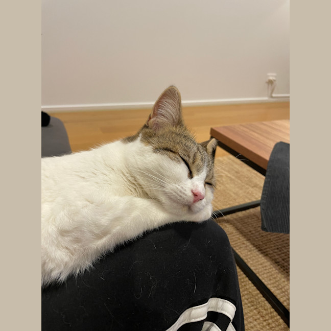 Photo of Chuba