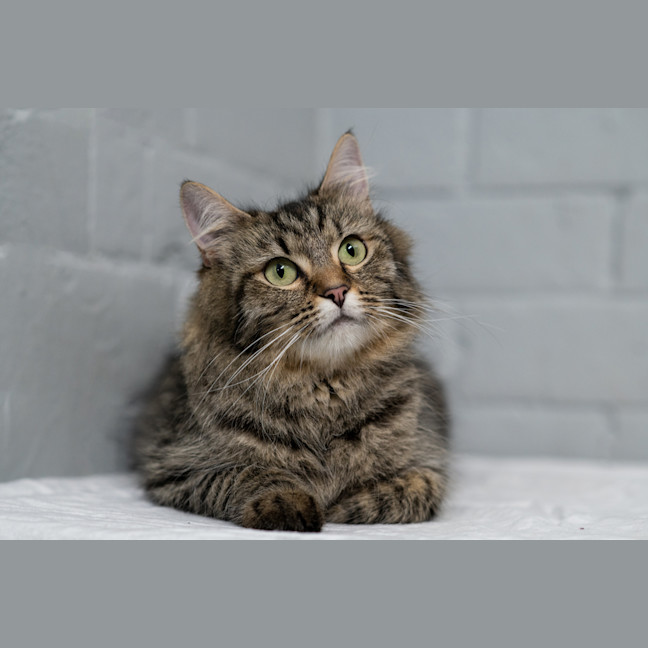Photo of Dutchess
