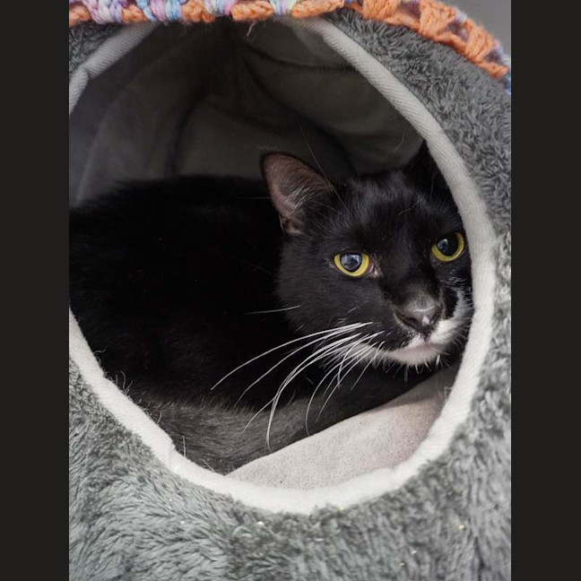 Photo of Hercules
